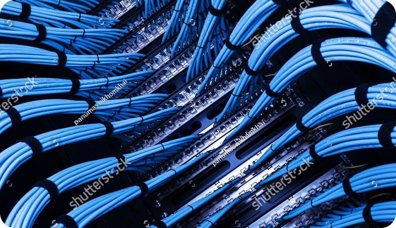 Ekonomik Aktörler & Yükümlülükler