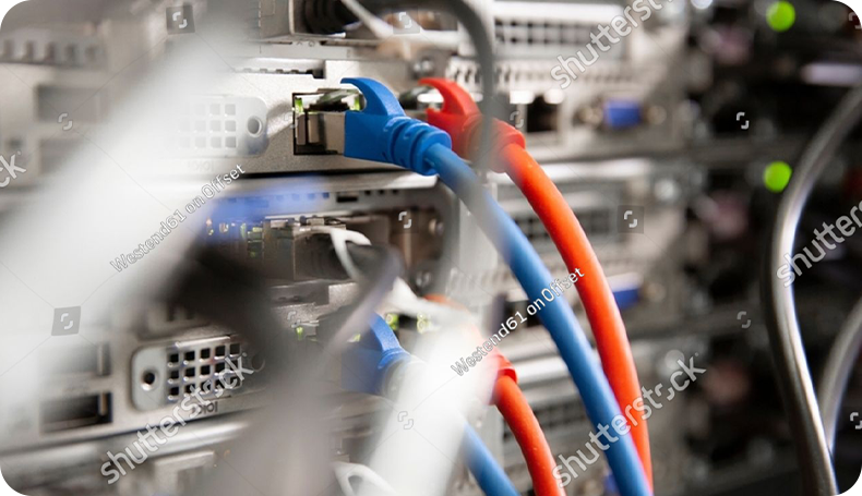 Tepki Sınıfları & Test Yöntemleri